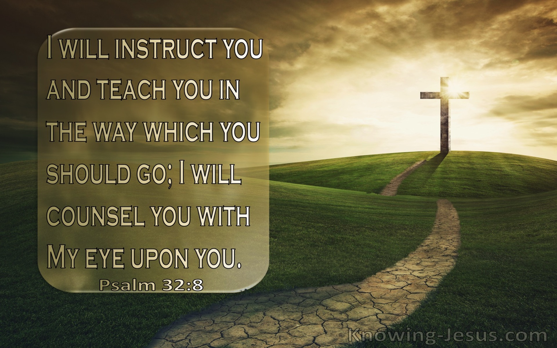 Psalm 32:8 I Will Teach You In The Way Which You Should Go (green)